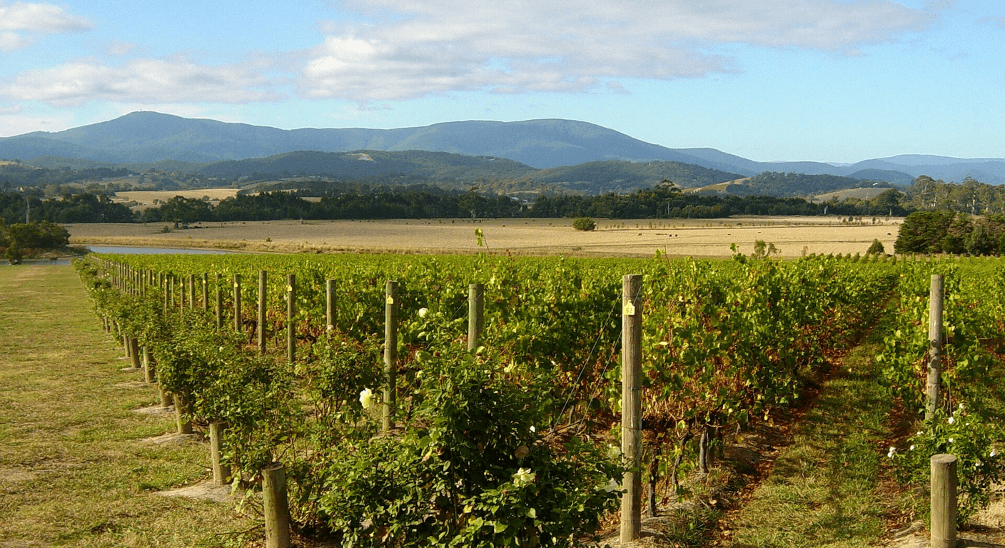 The Yarra Valley Produce Trail: Chocolate, Cheese and Slow Lunches